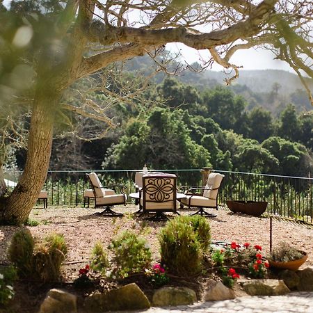Quinta Da Bella Vista - Historic Home And Farm Sintra Bagian luar foto