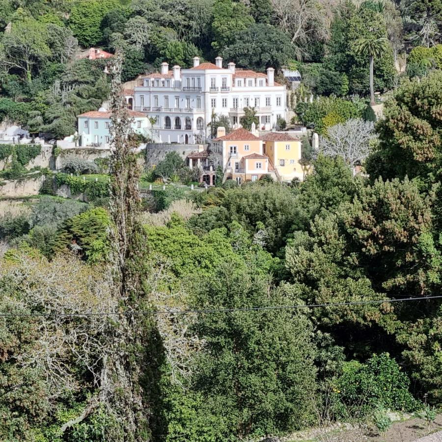 Quinta Da Bella Vista - Historic Home And Farm Sintra Bagian luar foto